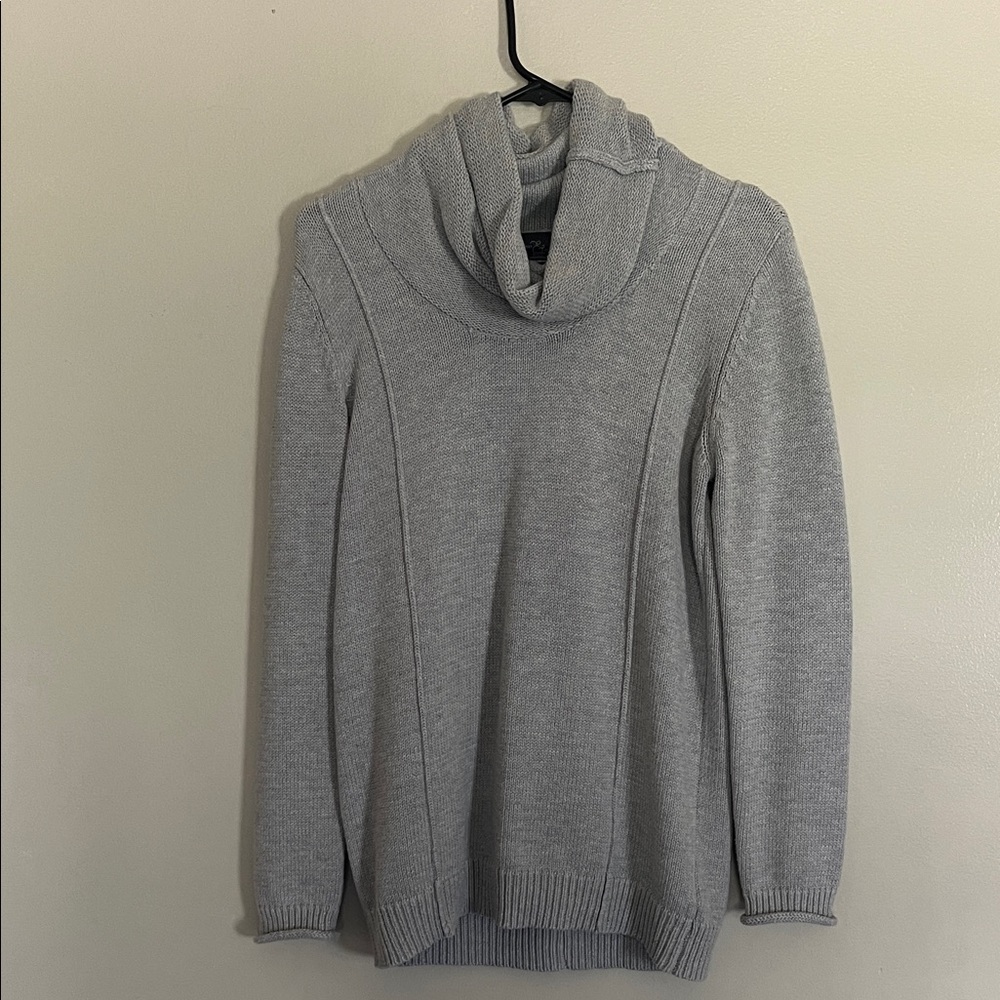 Market & Spruce Turtleneck
